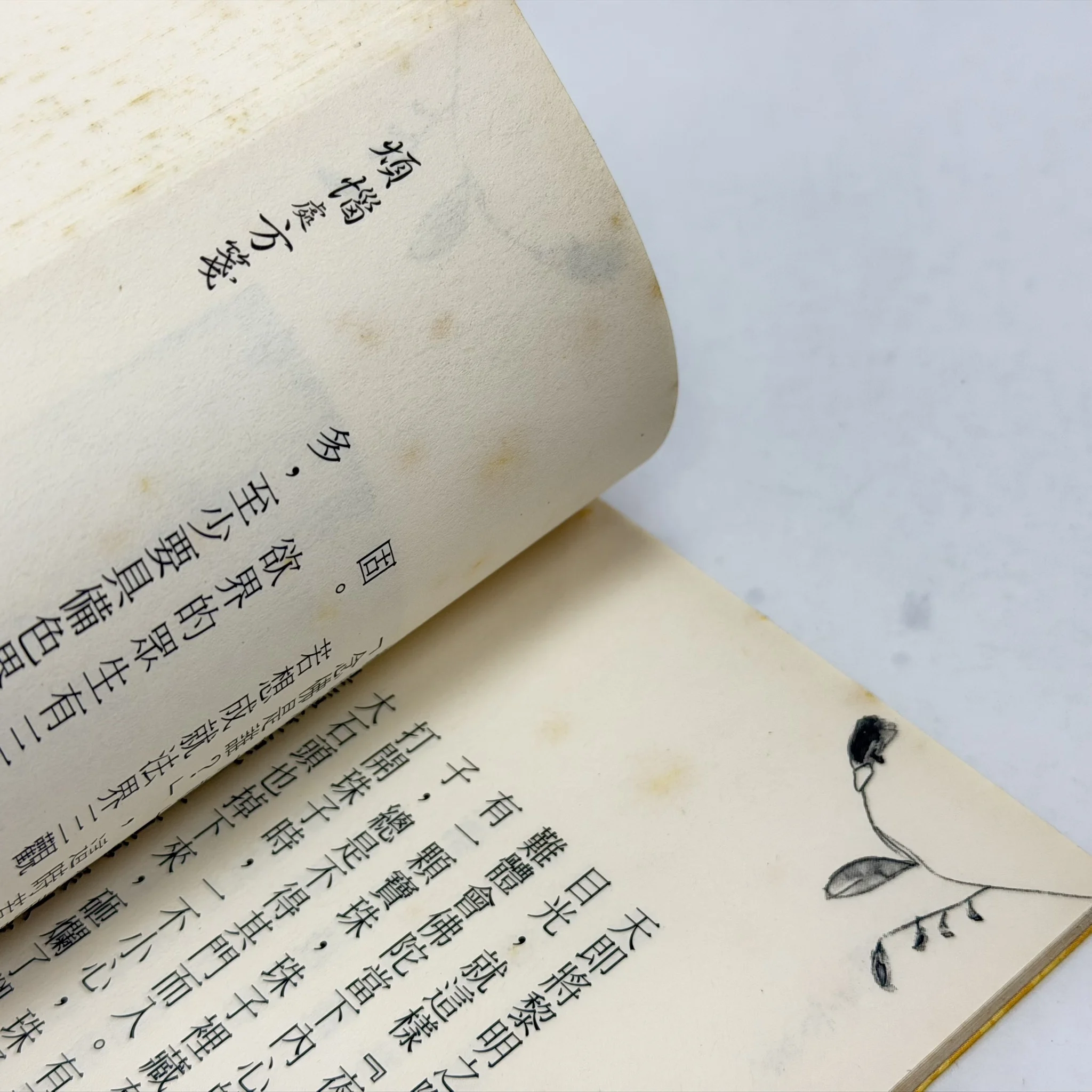 S 84271112 0 S 84271112 0