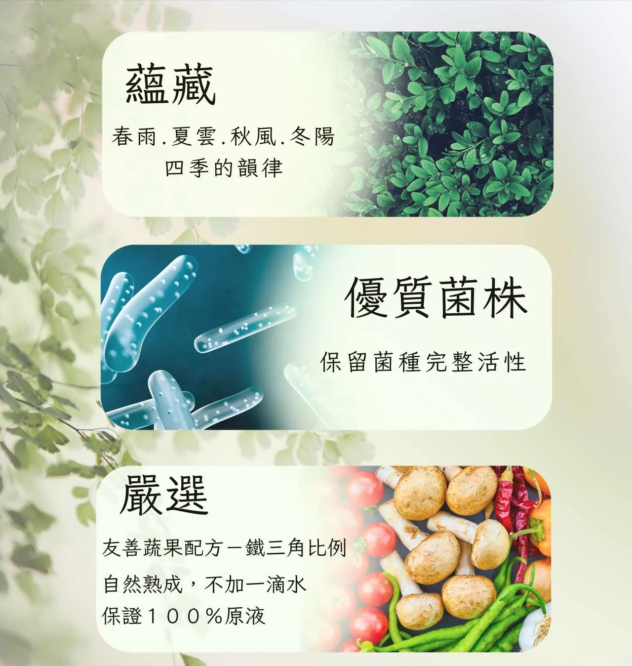 華菓露特極蔬果發酵液 03