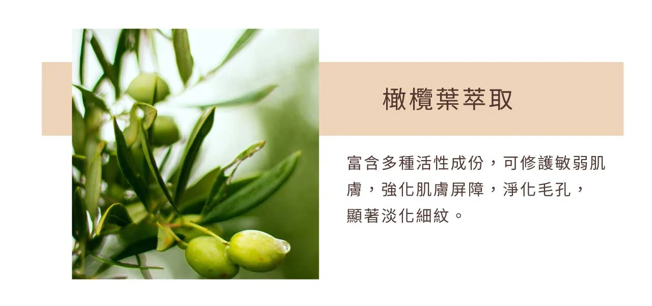 高滲透煥采活膚霜 05