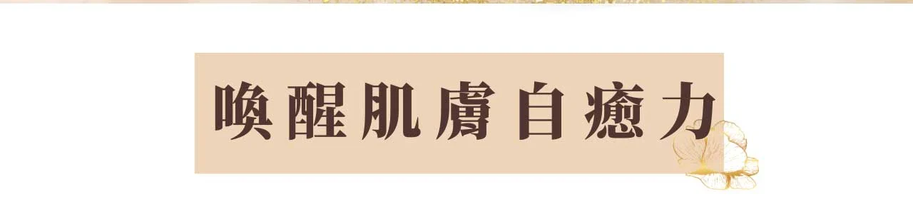 高滲透煥采活膚霜 02