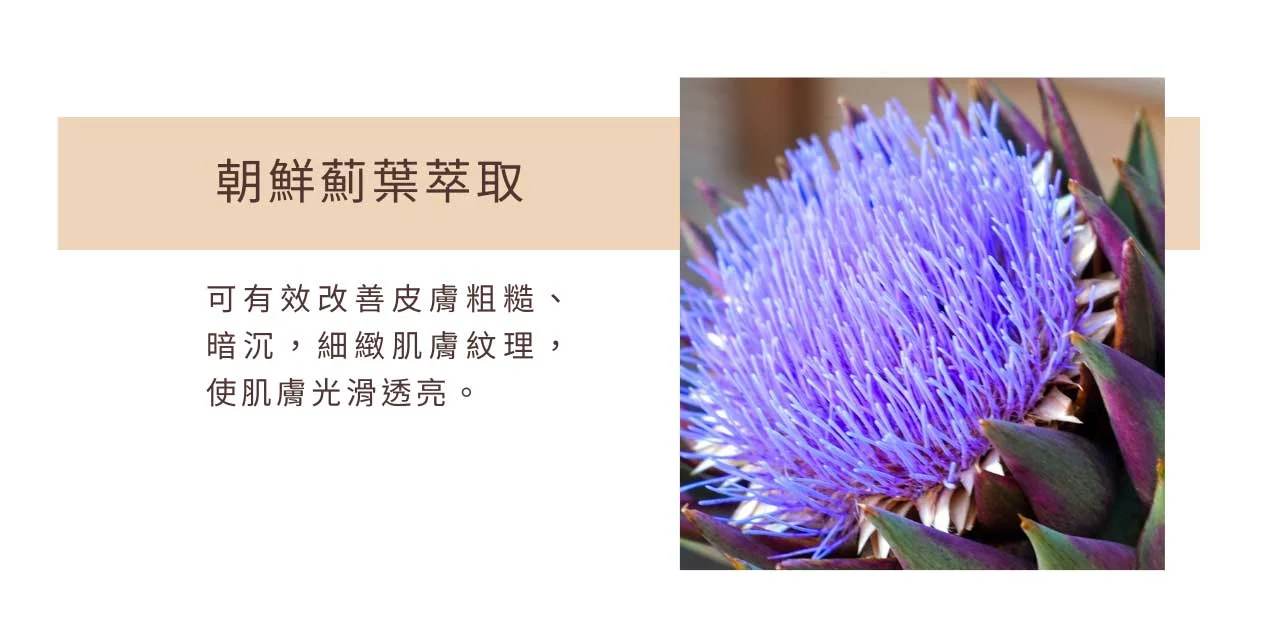 高滲透煥采活膚霜 04