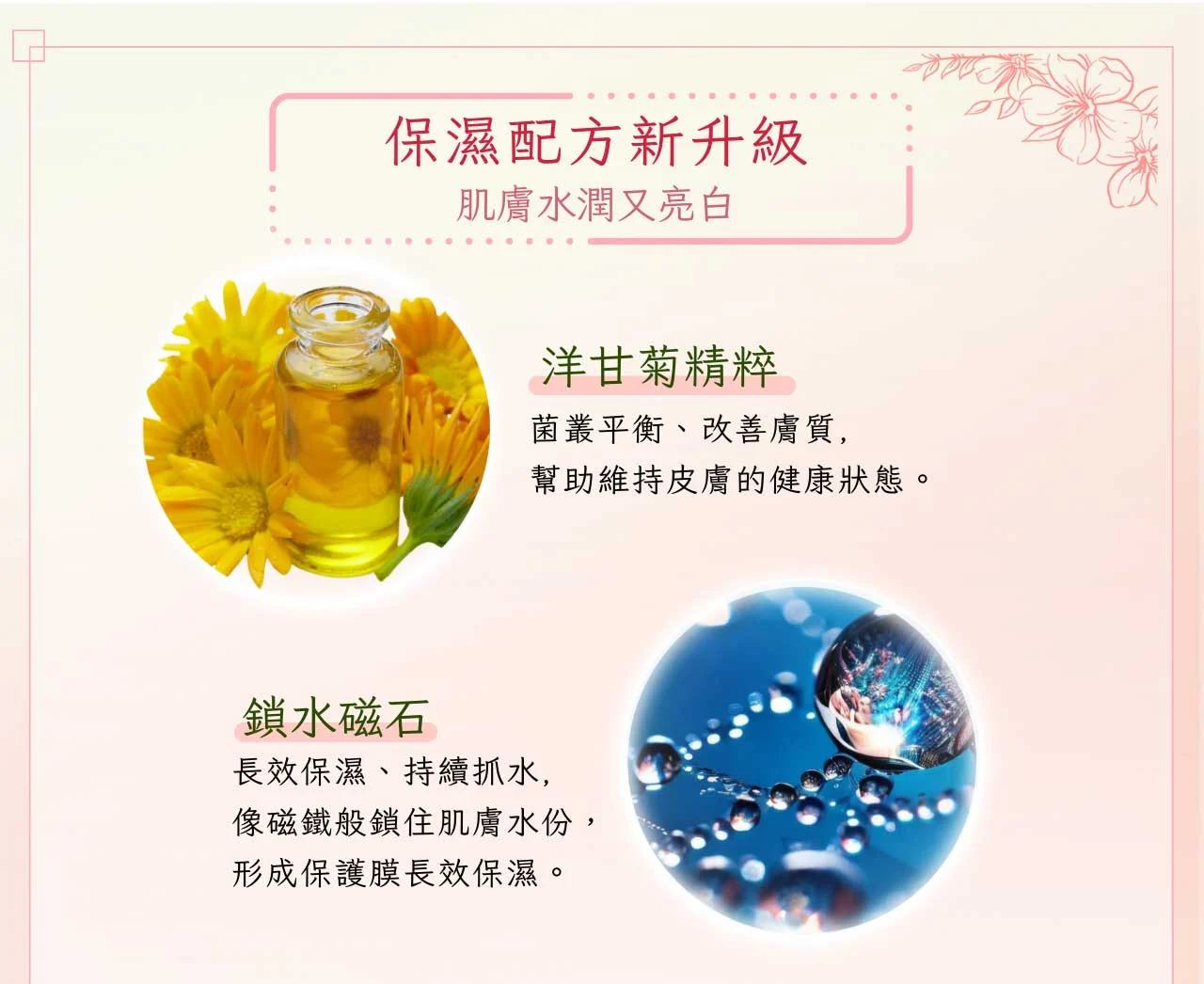 高滲透賦活精純液 02