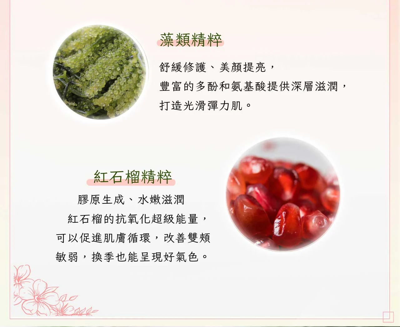 高滲透賦活精純液 03