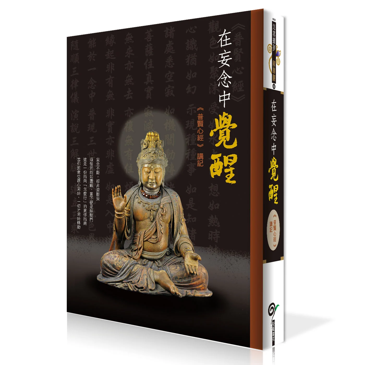 在妄念中覺醒 封面 立體