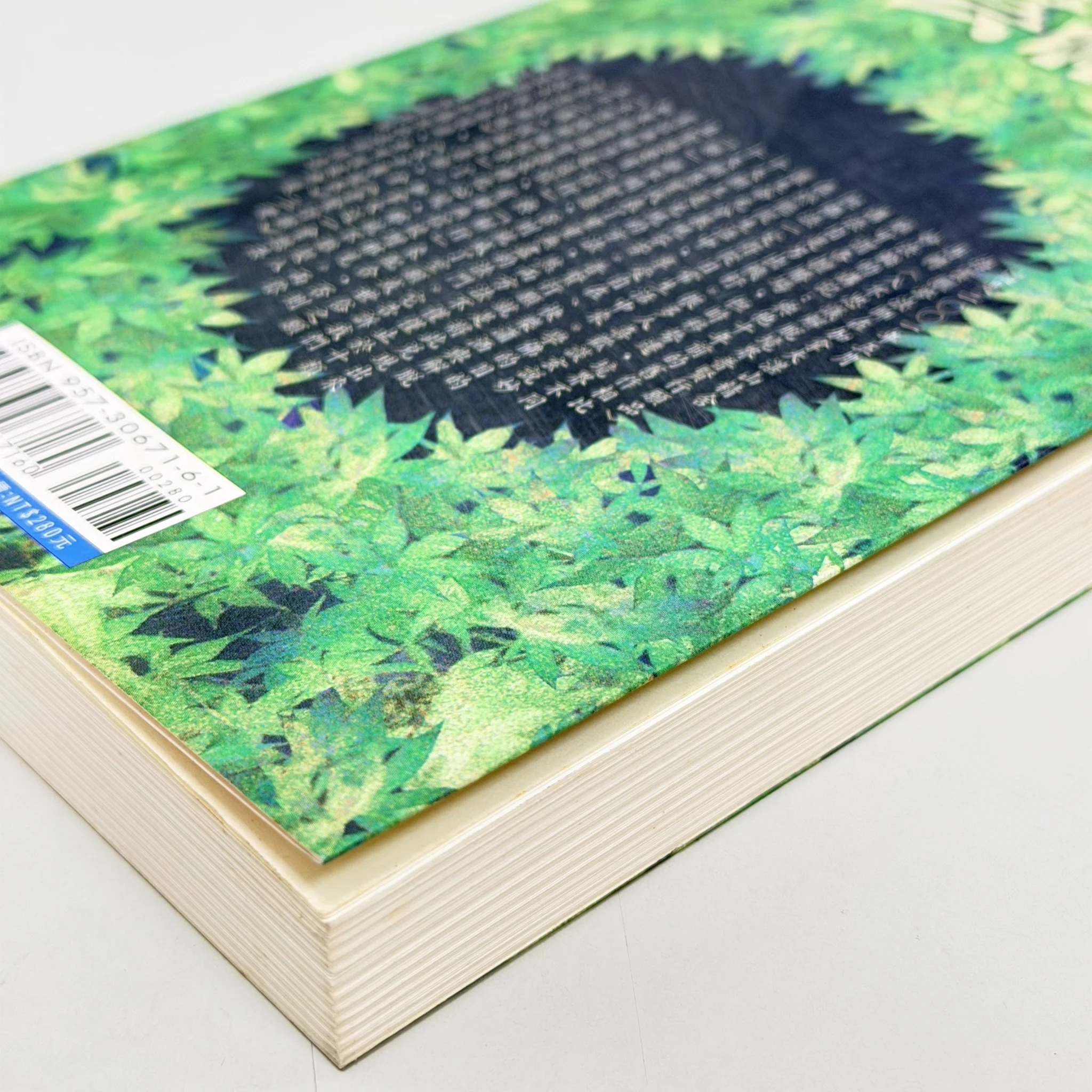 S 84180996 0 S 84180996 0