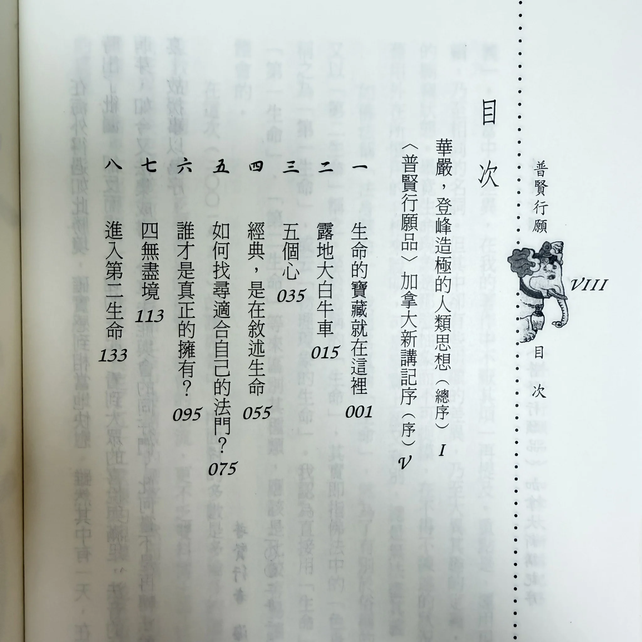 S 84181005 0 S 84181005 0